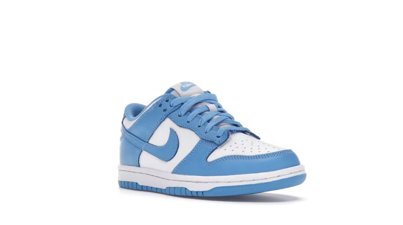 Nike Dunk Low Polar Blue